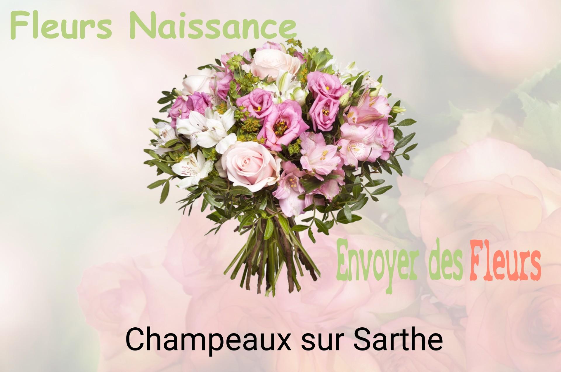 Bouquet de fleurs de naissance livré à Champeaux-sur-Sarthe